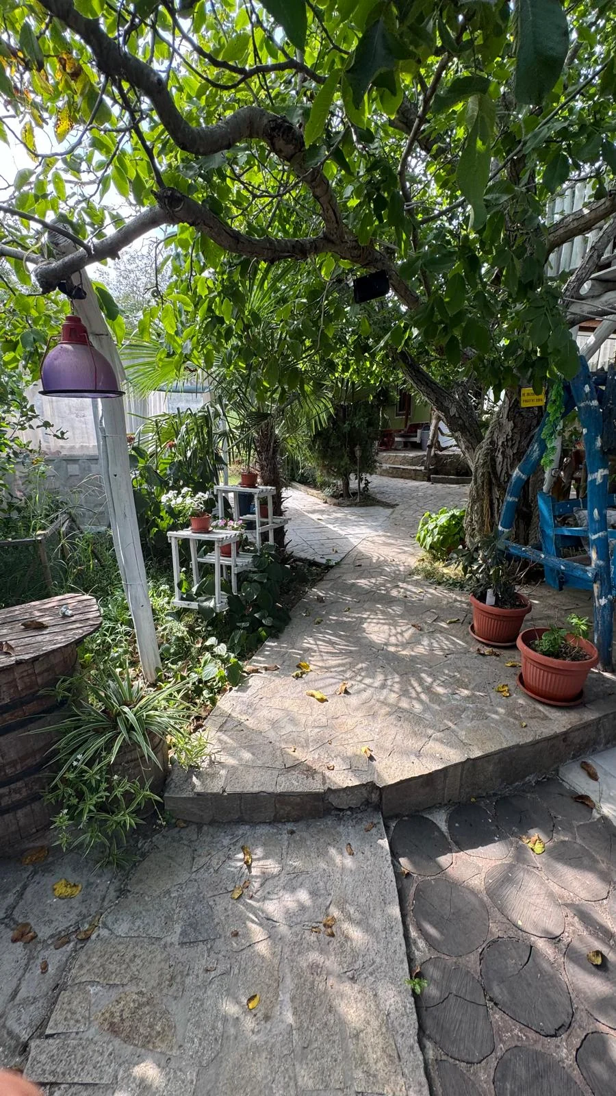 Open courtyard beside the terrace