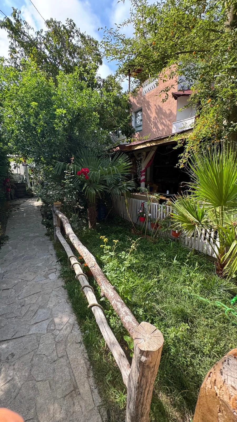 Green garden path in the courtyard