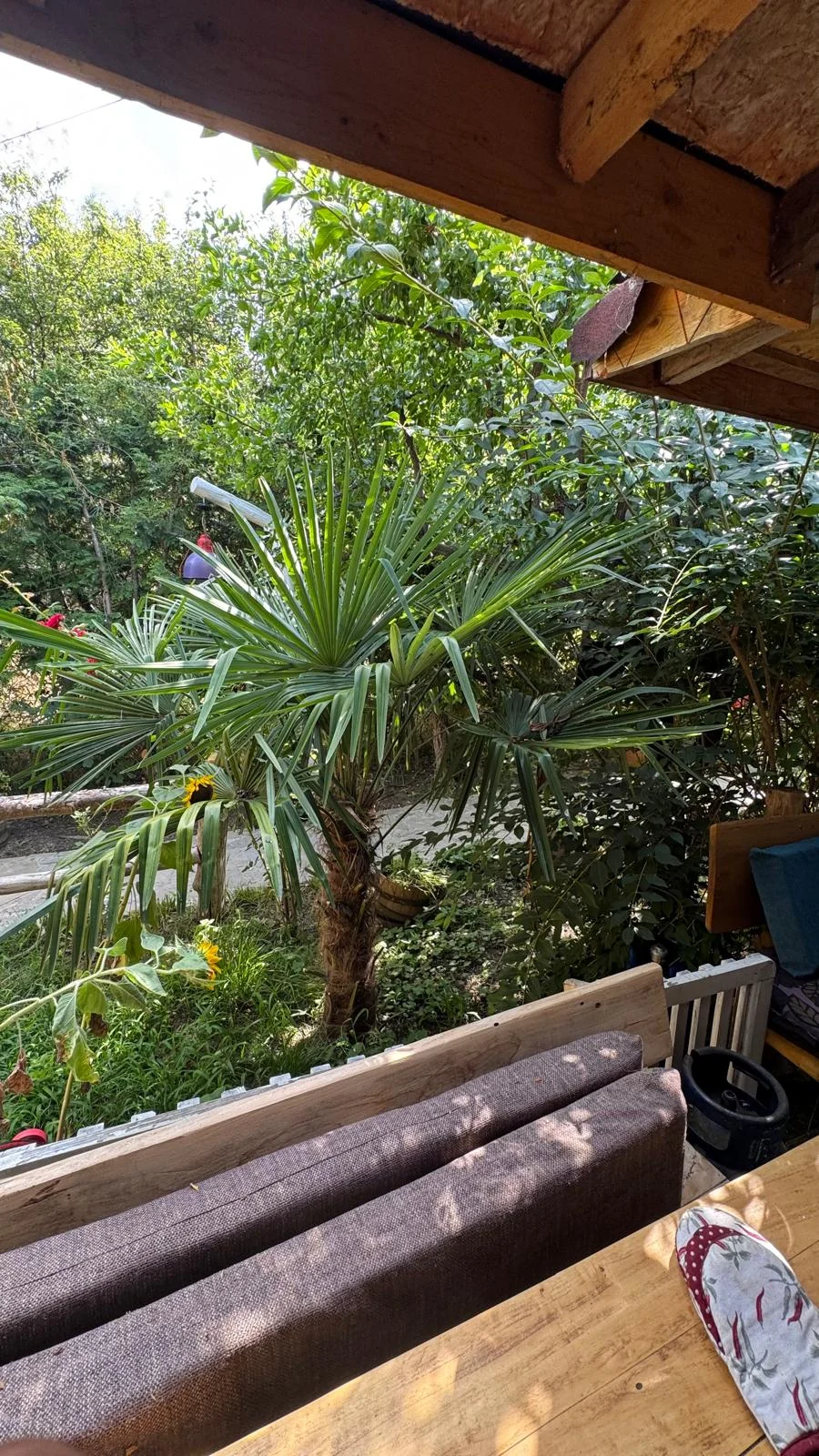 View from the terrace into the garden