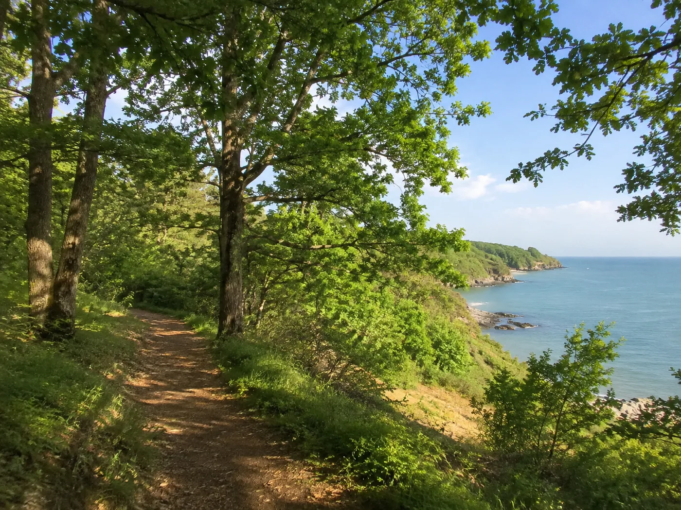 Walking in Strandzha near Varvara